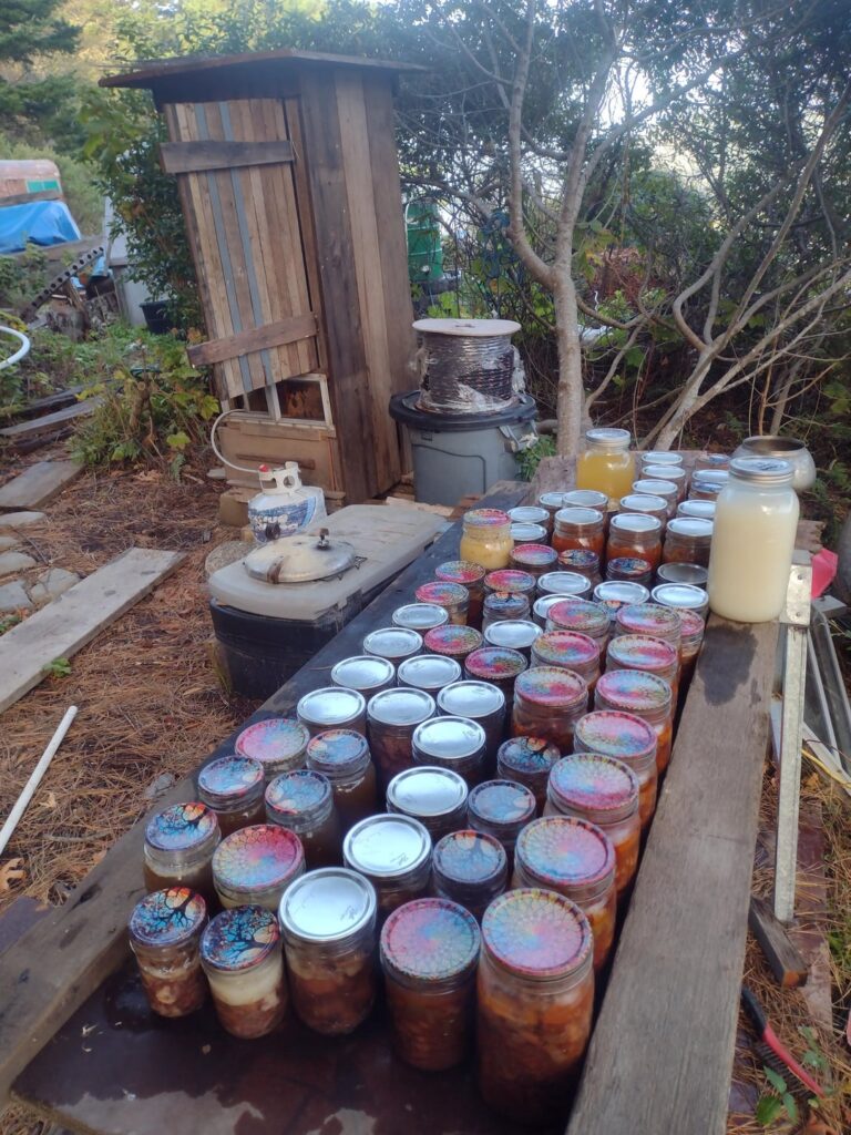 Canned bear meat Canned bear meat