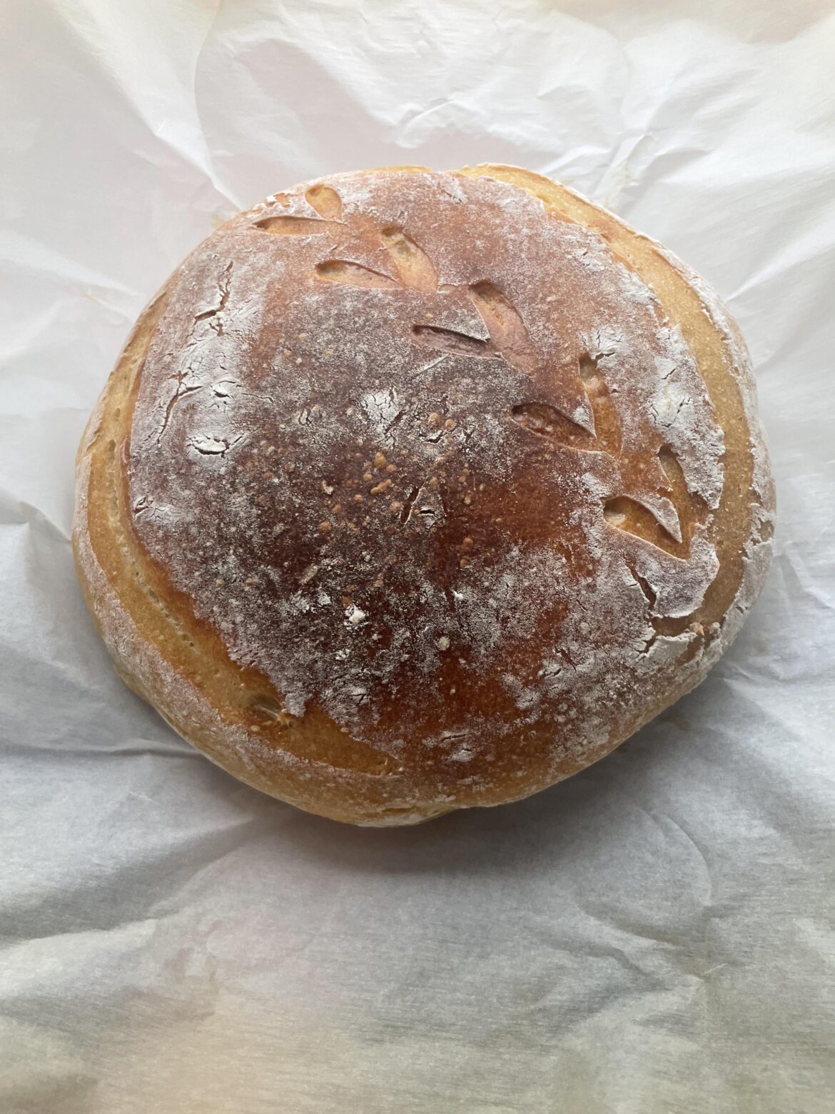 My first sourdough loaf!?