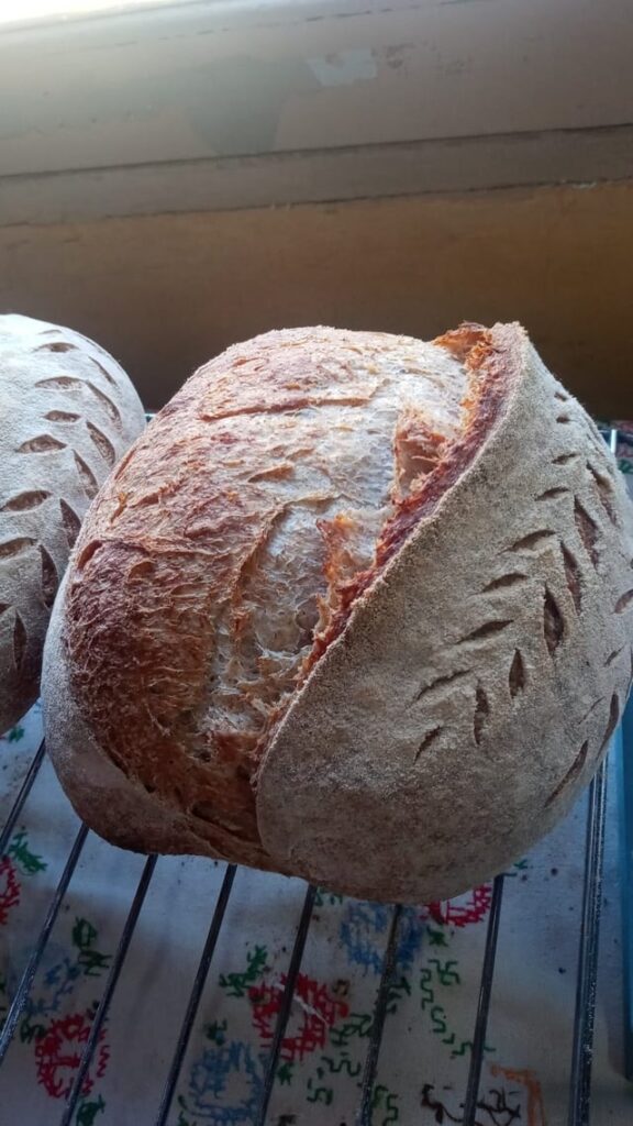 I'm so happy :') 50% Whole Wheat loaf