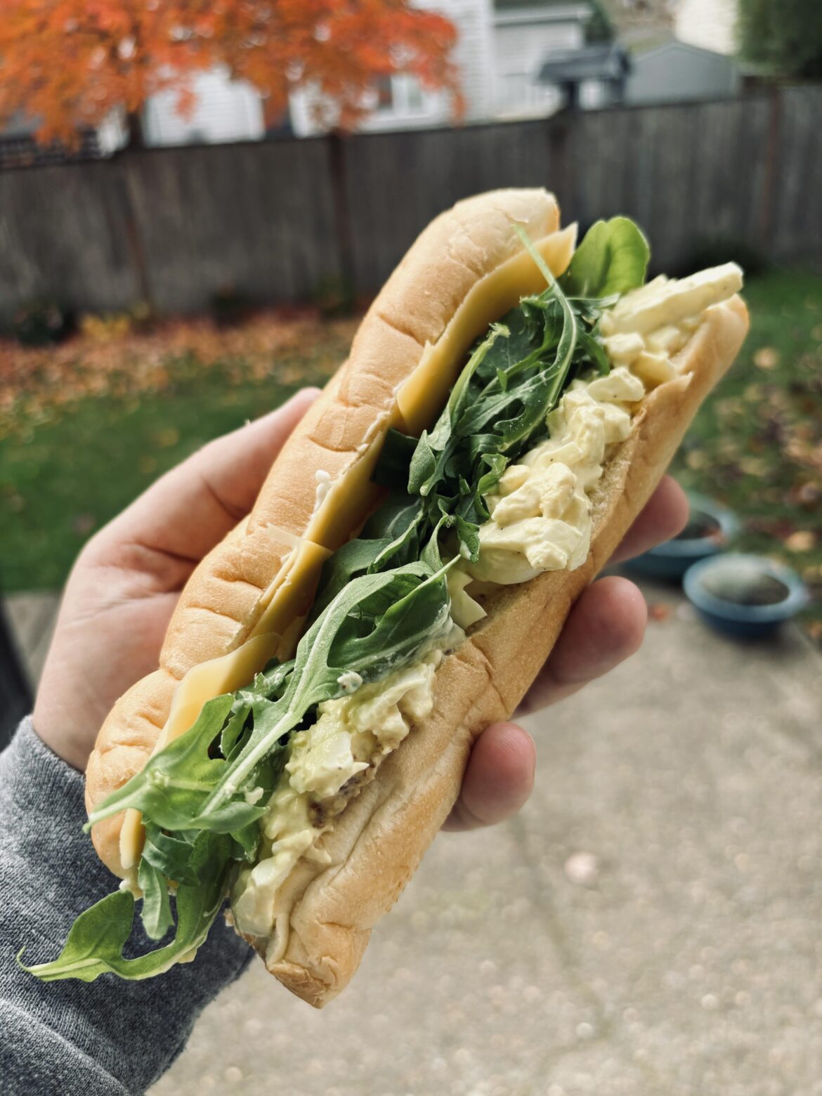 Anyone else into egg salad?