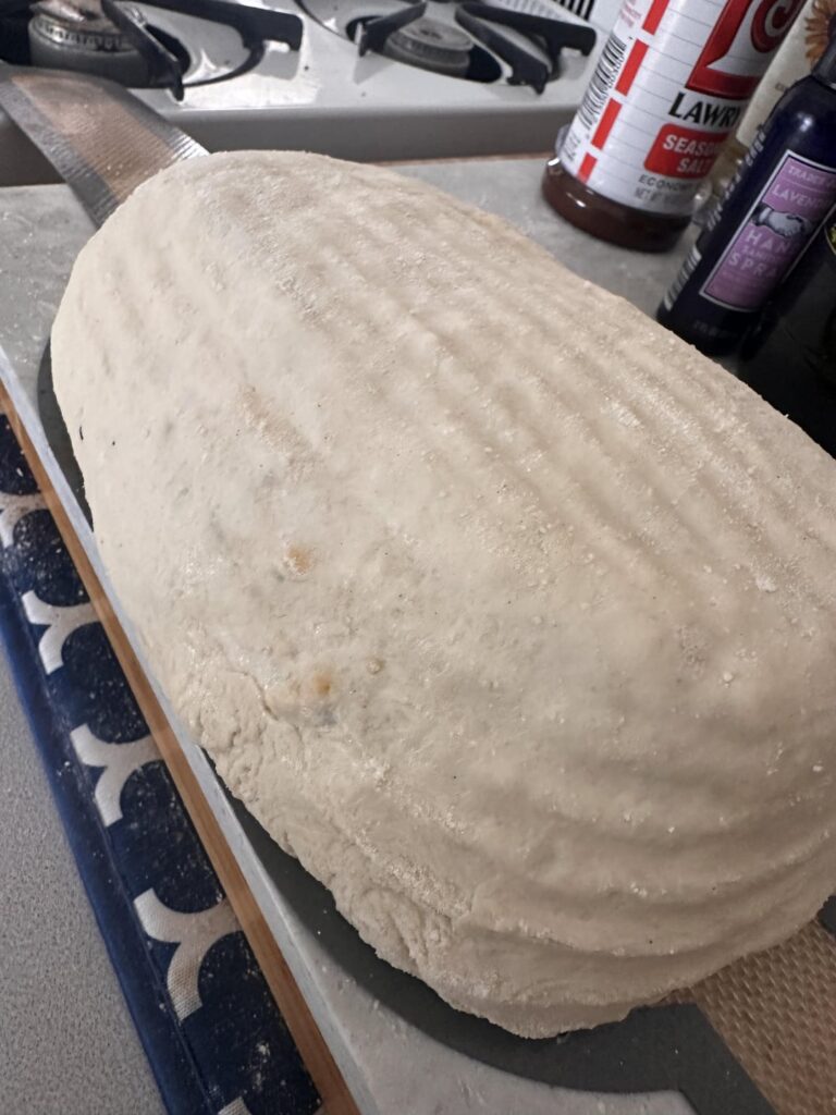 What the actual heck?! This is ONE stretch and fold! 🤯🤯