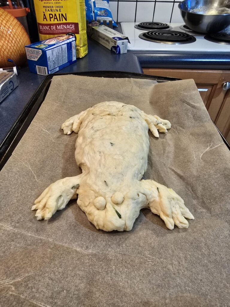 First time baking bread and it turned into a toad!