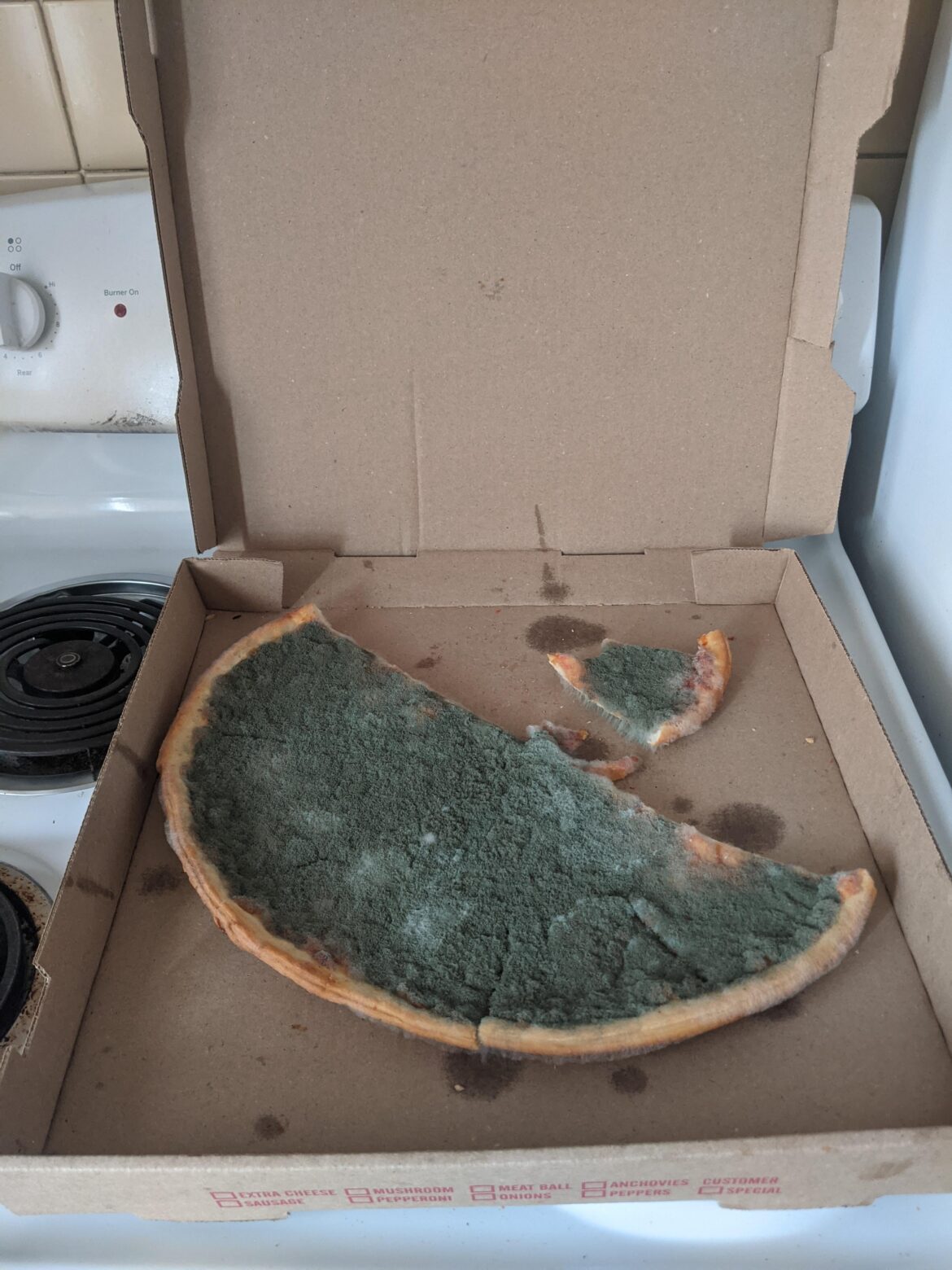 Mold is now a main topping