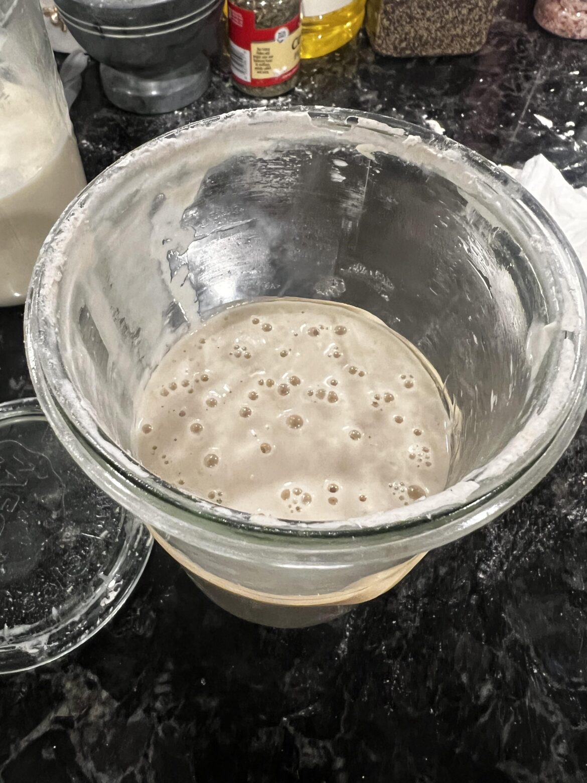 Meet Dillon. Dillon refuses to reach maturity. Meet Dillon. Dillon refuses to reach maturity.