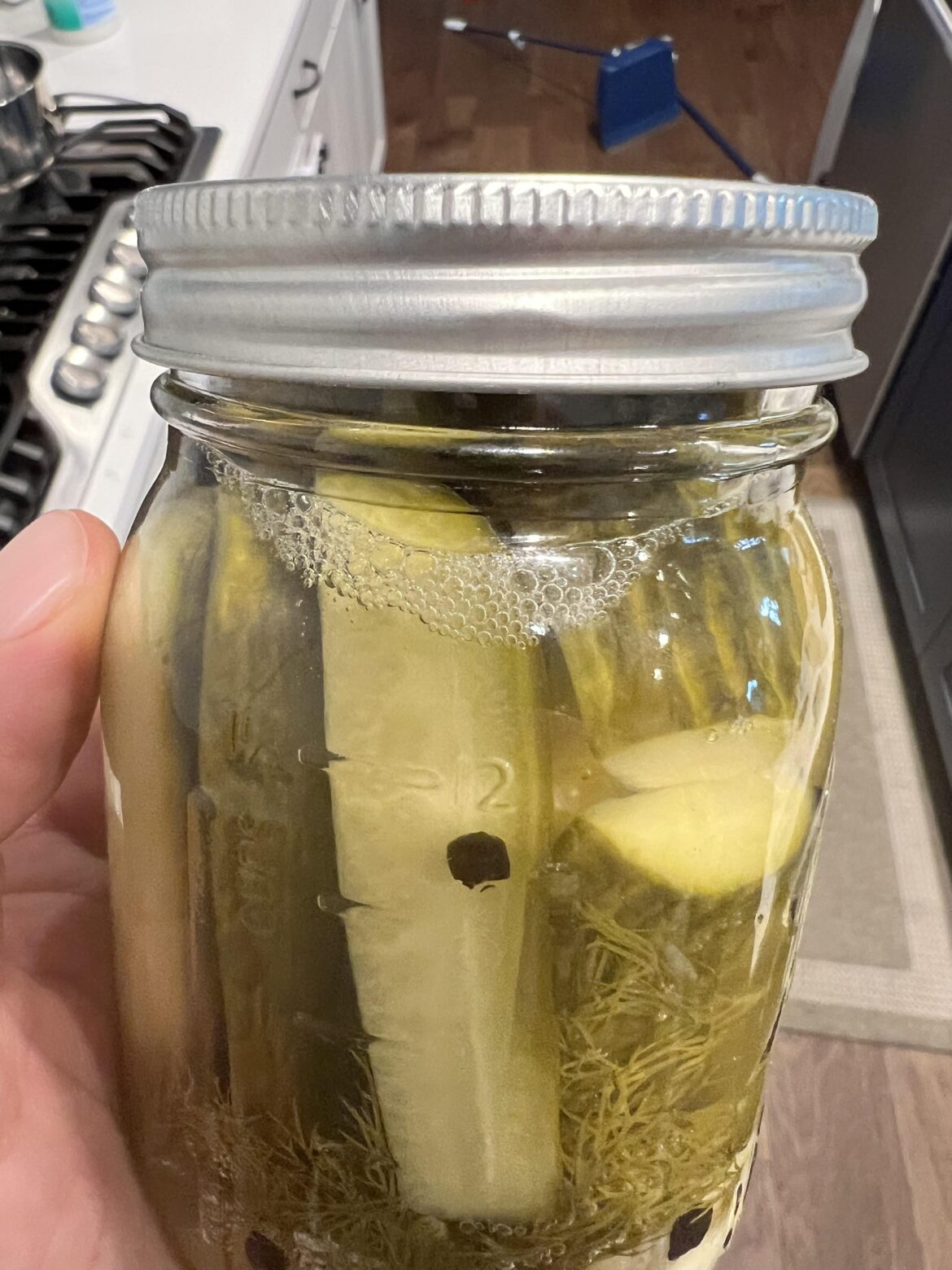Are these pickles ok? Are these pickles ok?