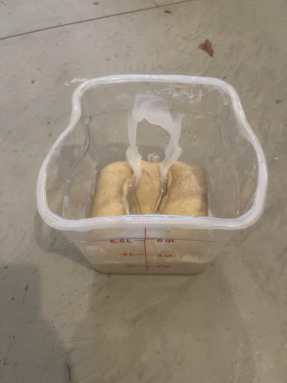 Don’t preheat your oven for Thanksgiving pies while you’re proofing your sourdough. Don’t preheat your oven for Thanksgiving pies while you’re proofing your sourdough.