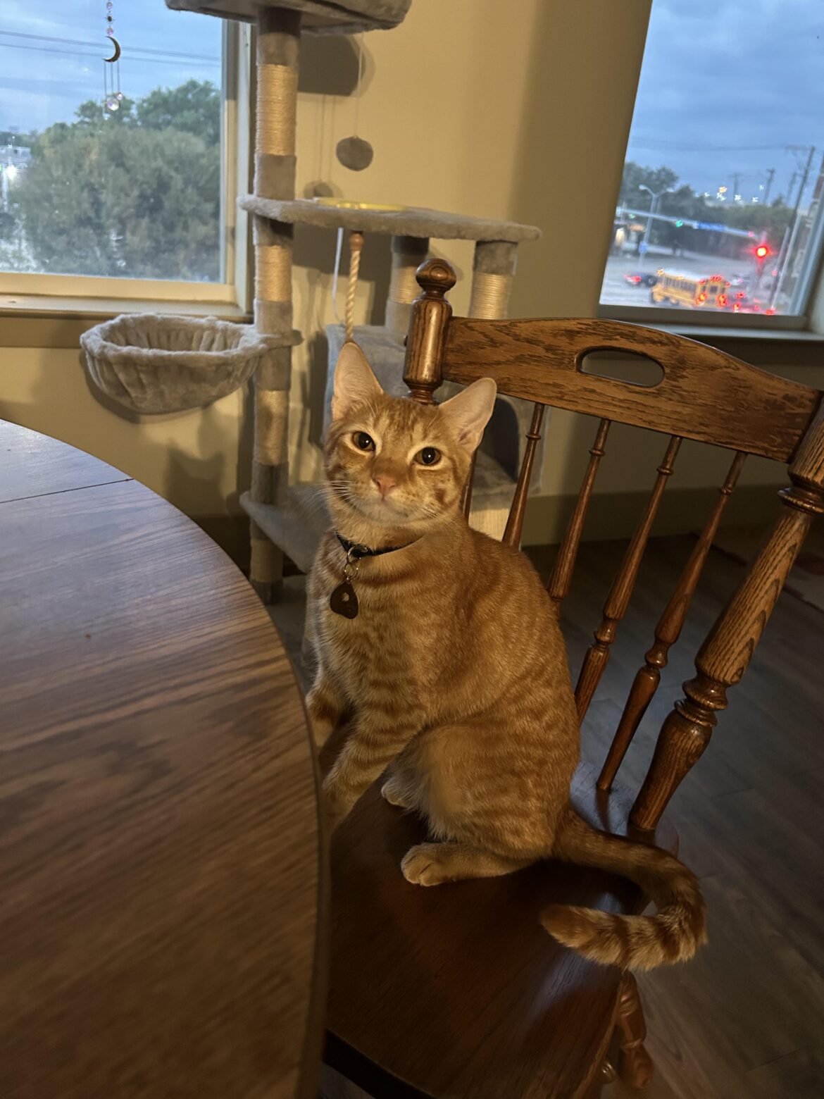 The face of a boy who ate garlic and onions then spent over 3 hours in the emergency room refusing to throw them up.