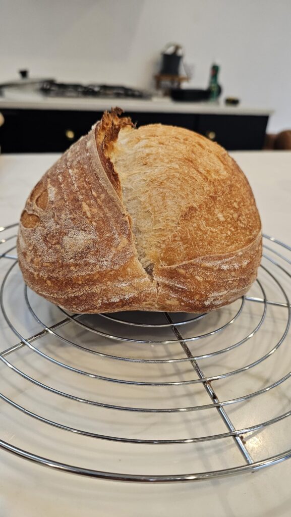 Sourdough Cold Oven Start Sourdough Cold Oven Start