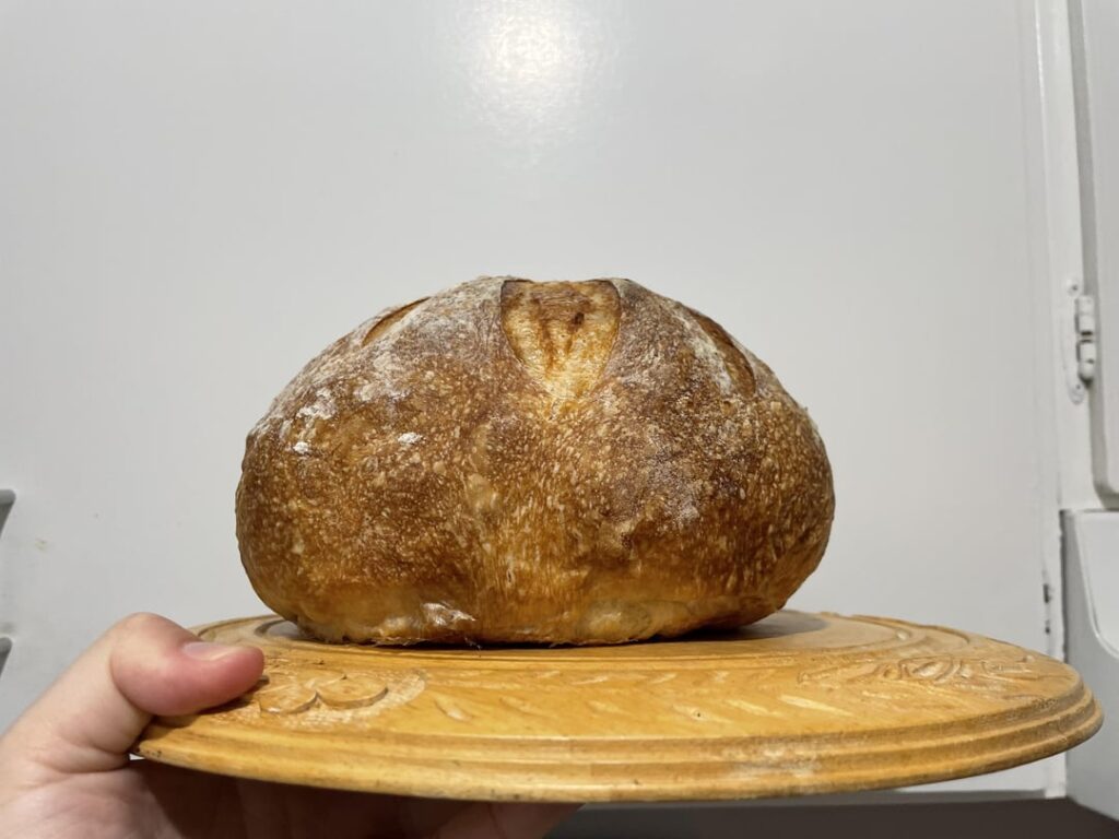 First sourdough in two years! And my most vertical to date! First sourdough in two years! And my most vertical to date!