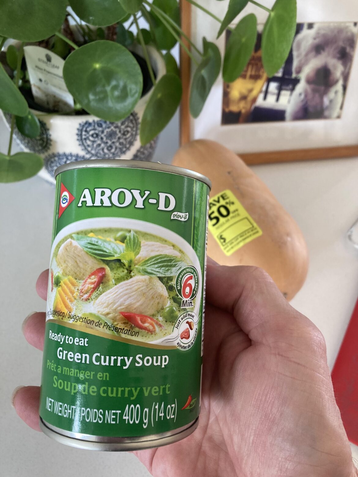 Green Curry Soup hack needed