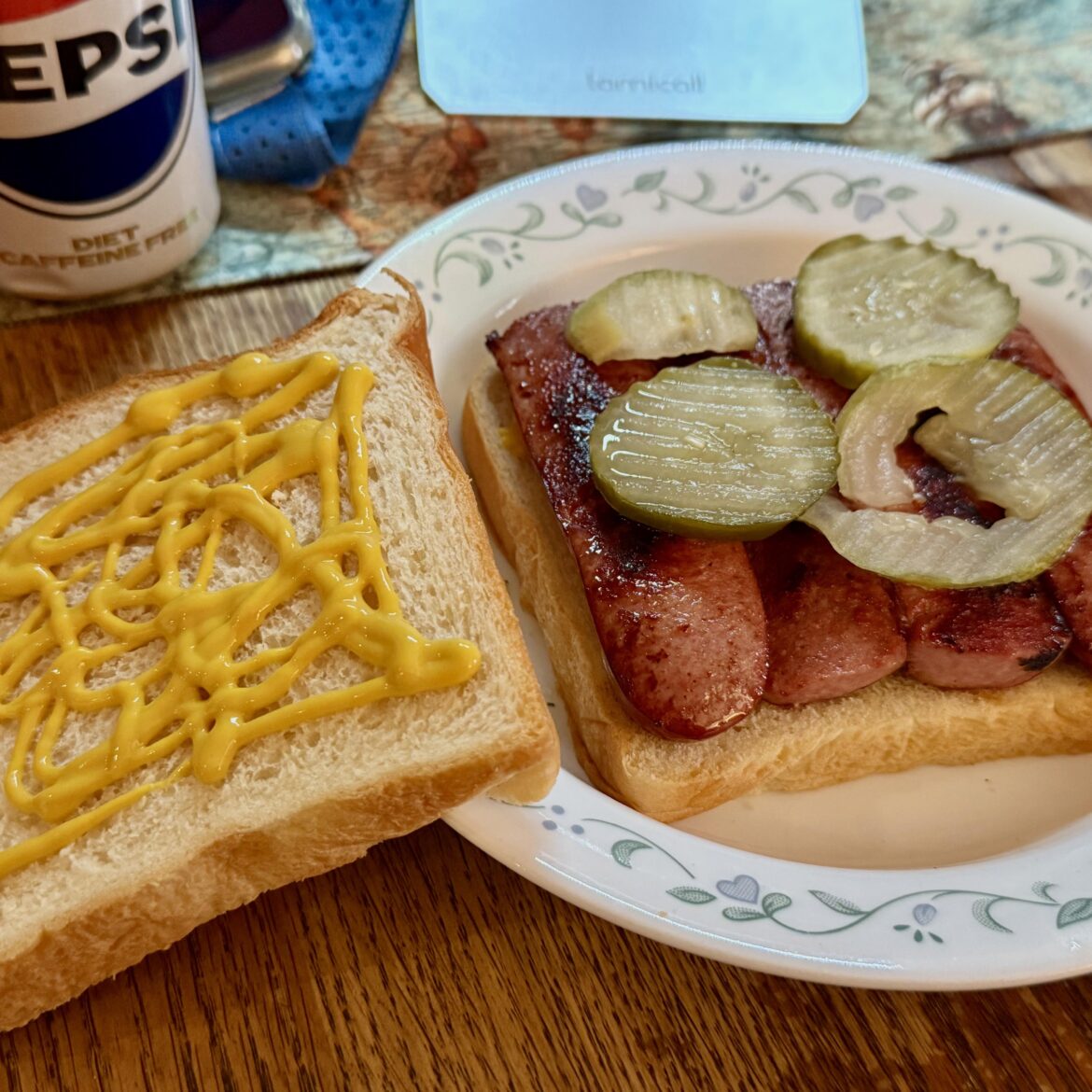 Today’s Lunchtime Blue Plate Special… Grilled Turkey Polska Kielbasa, Dill Pickles, and Mustard on day-old Japanse bread from our neighborhood Korean bakery 😉