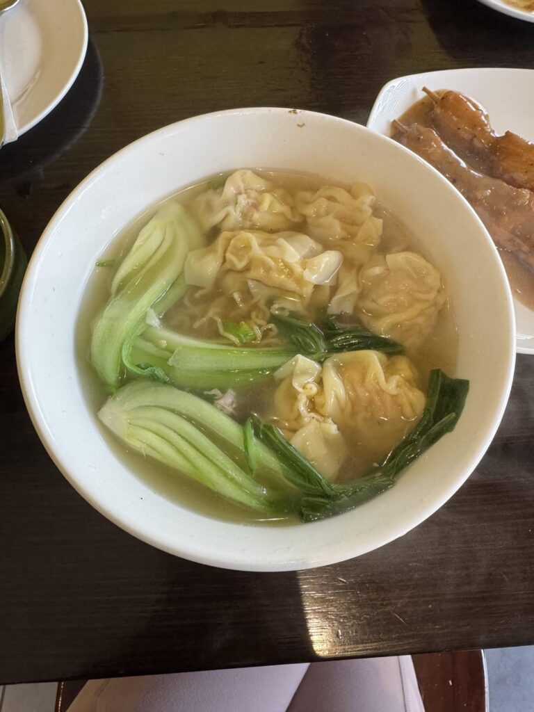 Bowl of wonton noodles & stuff