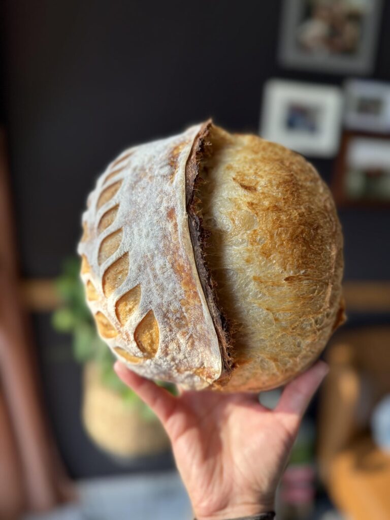 My Sourdough Creations