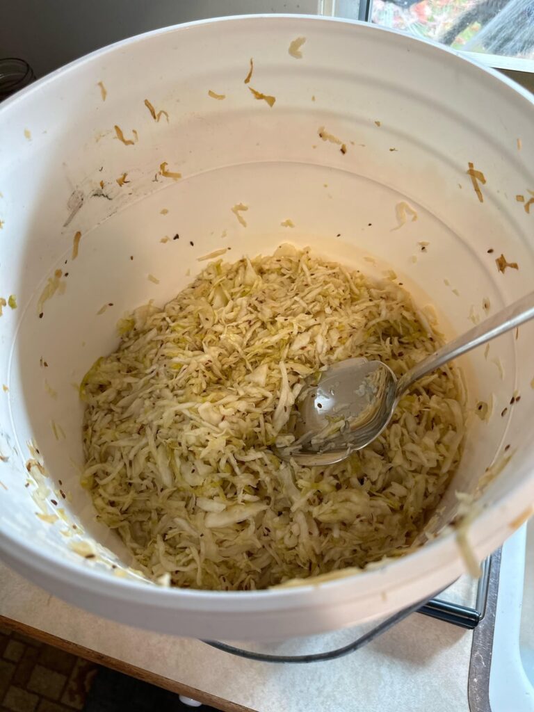 Sauerkraut