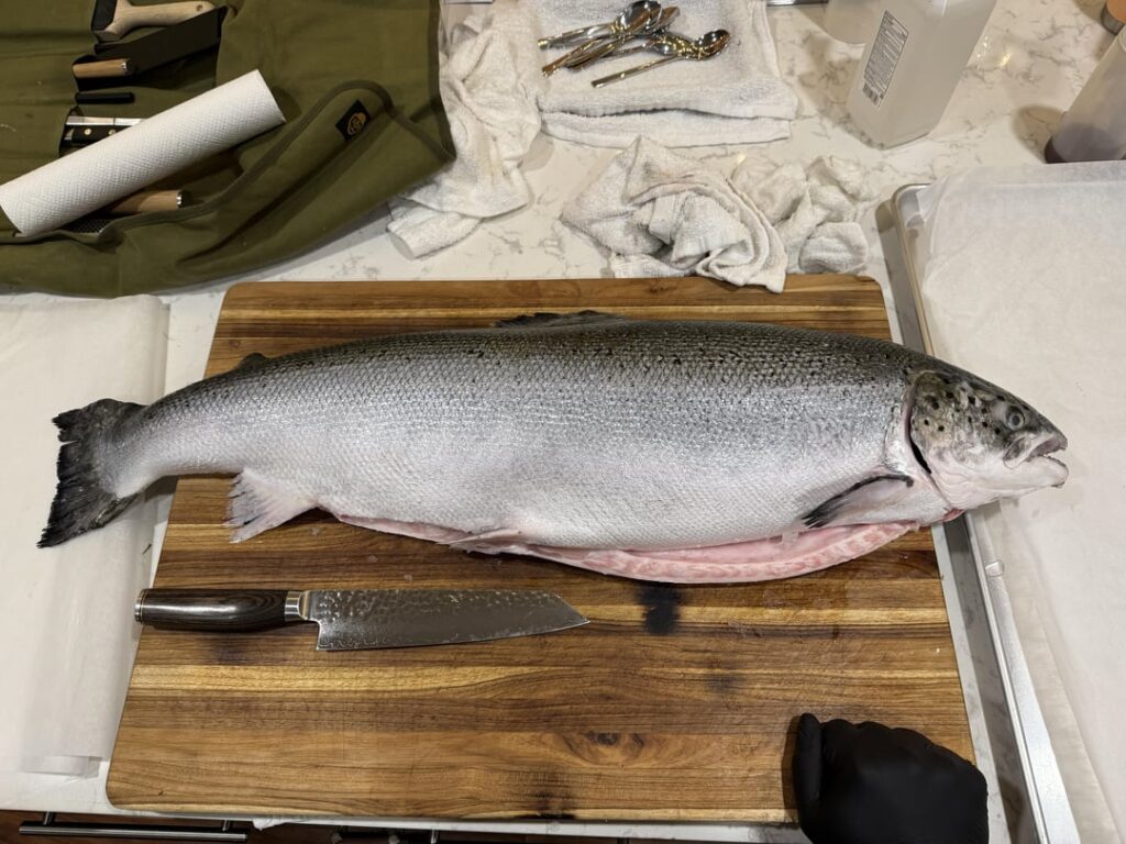 Just some salmon for sashimi and nigiri