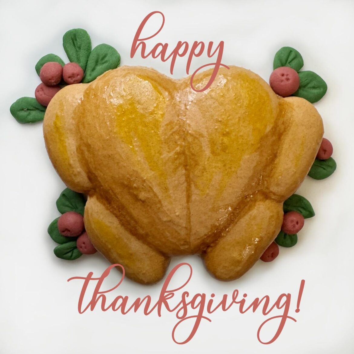 Real turkey or macaron shell? 😂