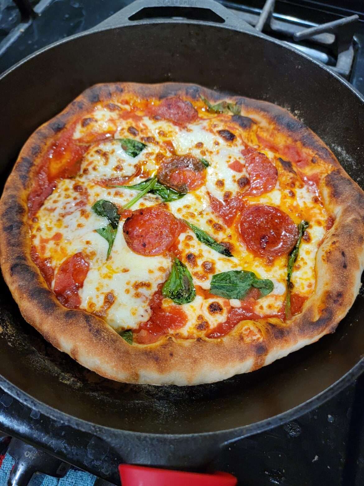 Neopolitan pizza with double dough. pizza restaurants are going to lose out on a lot of business from me in the future.