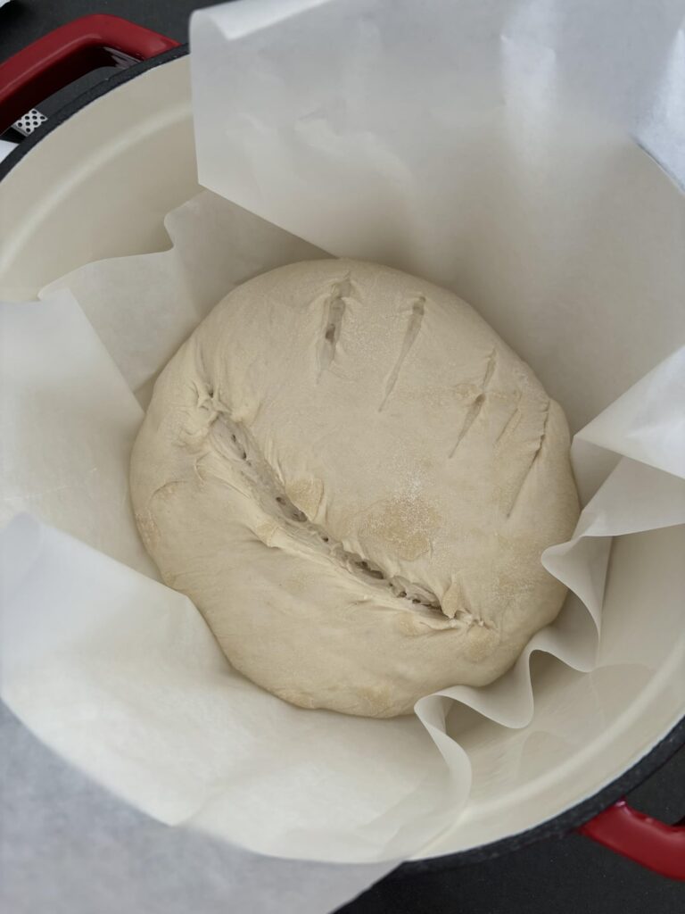 First ever sourdough bread