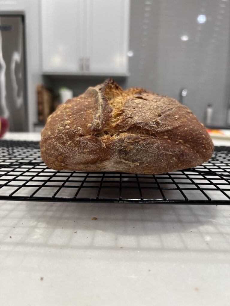 Proper gluten development? Why is there so much spread? Proper gluten development? Why is there so much spread?