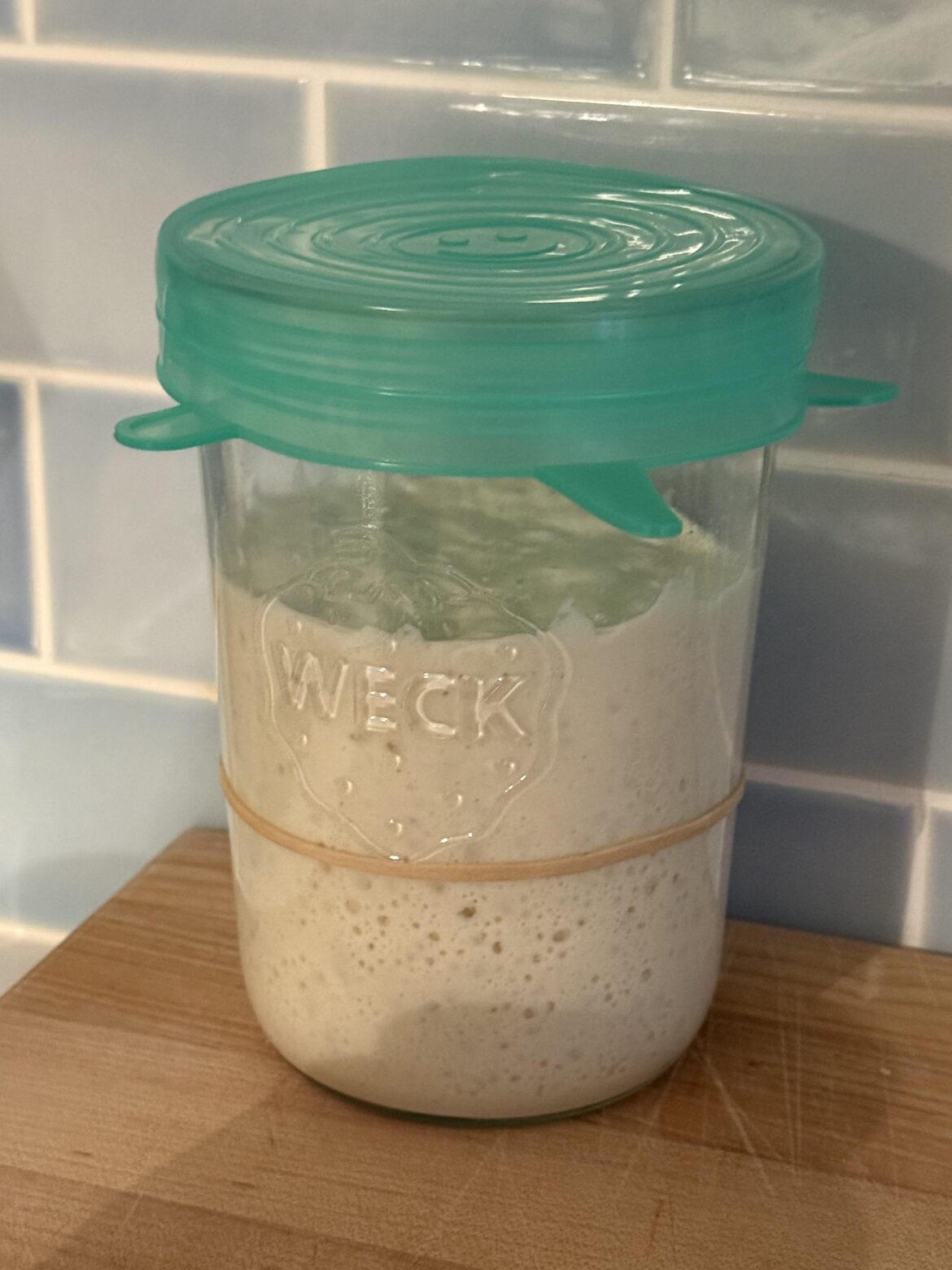 Neglected in the fridge for 10 months (I’m a monster) and it came back after just two feeds.