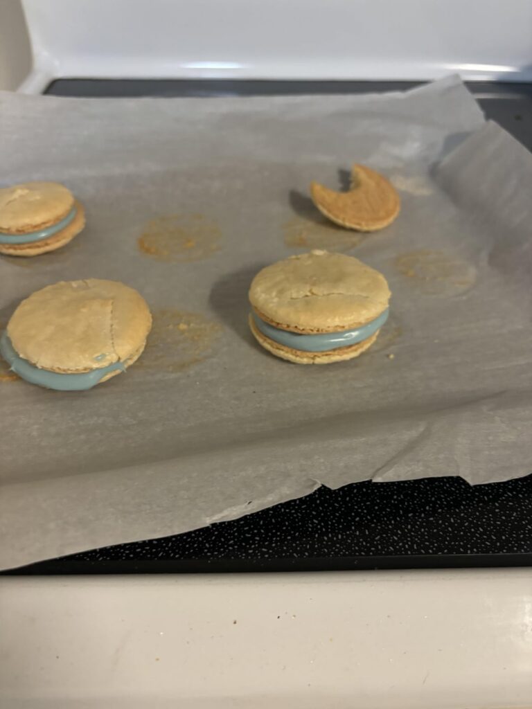 Fourth batch (11/8/2024) and fifth batch (11/10/2024)