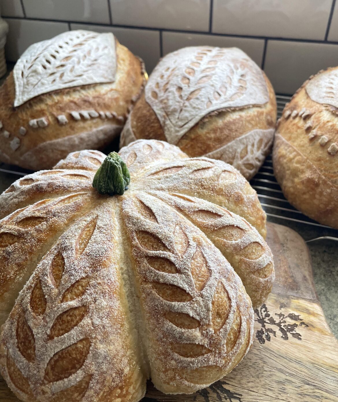 Trying out new things!