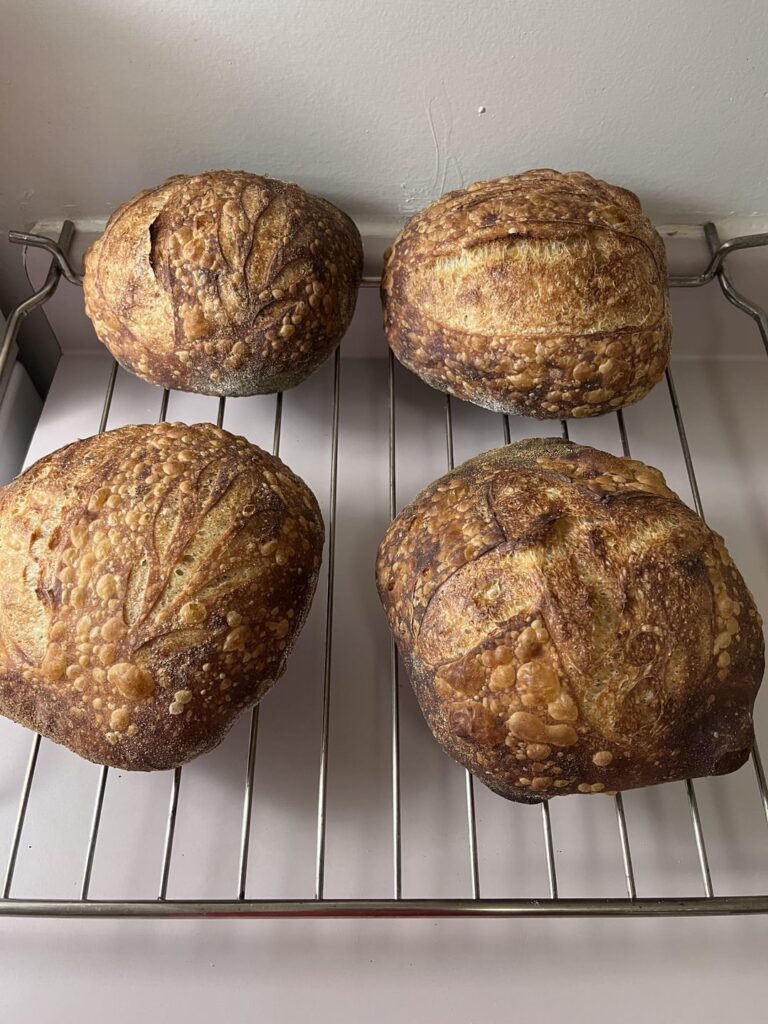Just made some mini loaves, I think this is the best bread I’ve made yet!