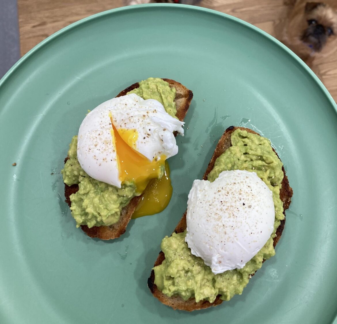 Never seen avocado toast with an egg. How’s it look?