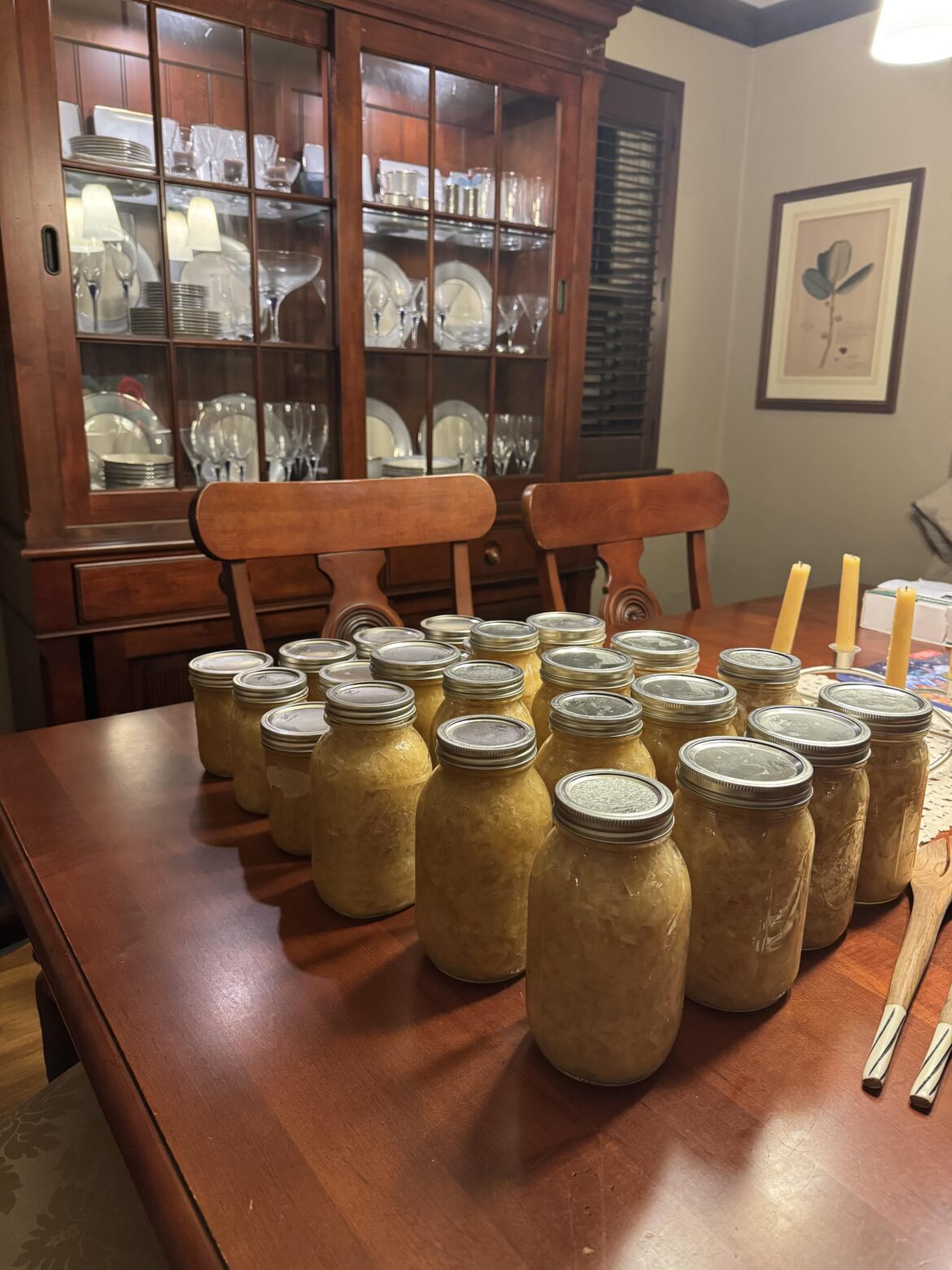 50 pounds of sauerkraut canned today