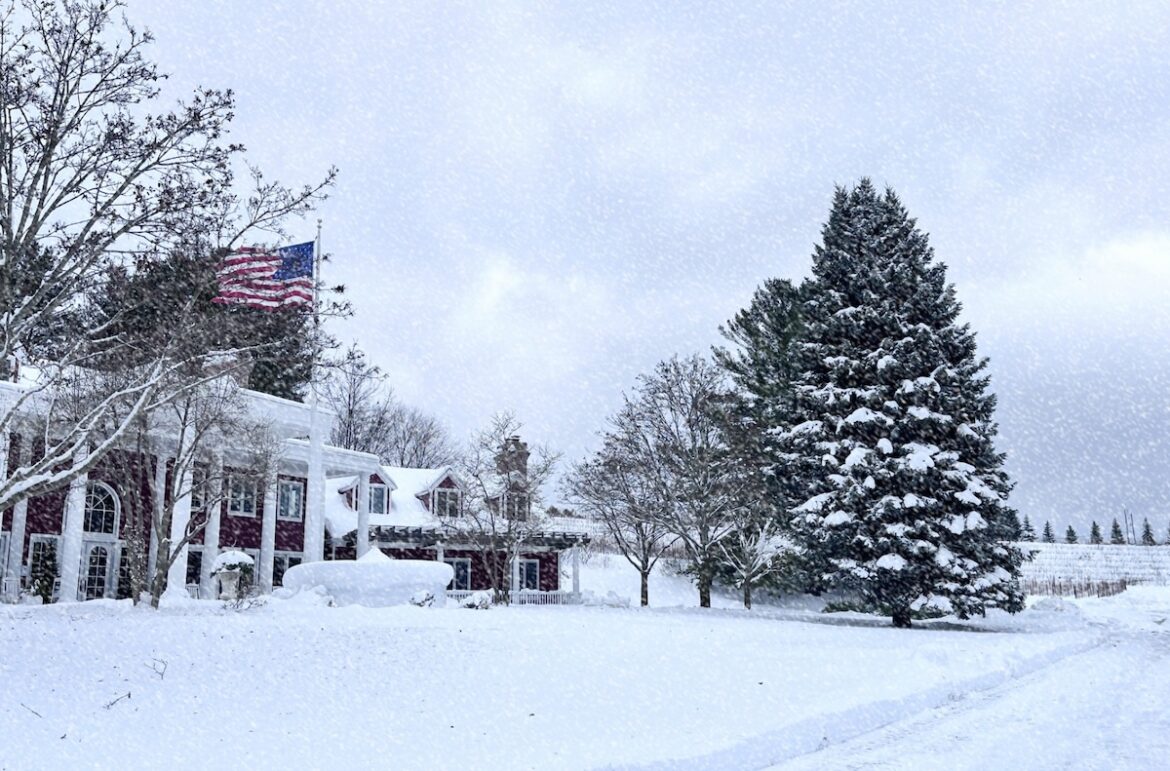 Black Star Farms Brings Us a Polish Christmas Dinner | Features