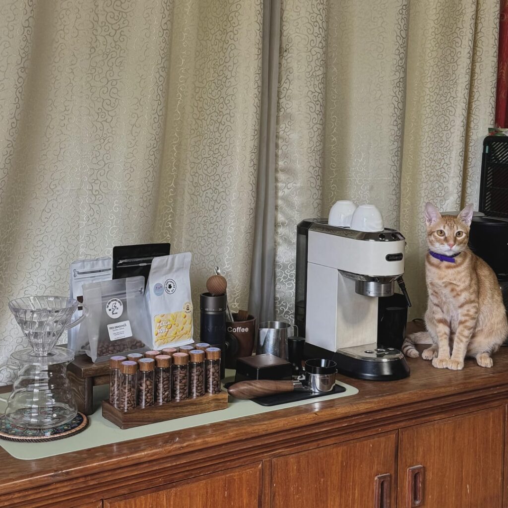 Truly one of the coffee stations of all time 🐱