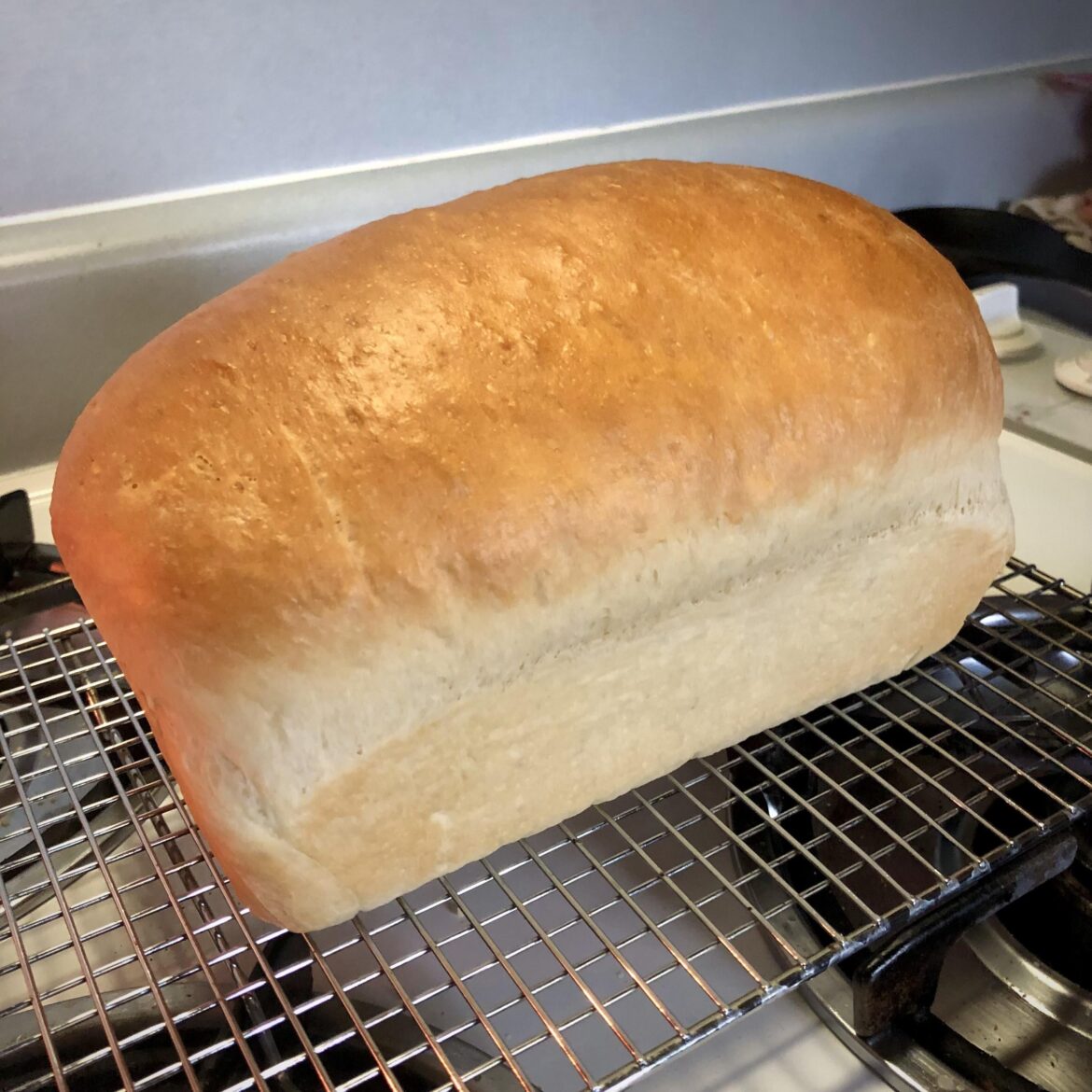 Showed some neighborly love with a loaf homemade bread. Hope it tasted good.