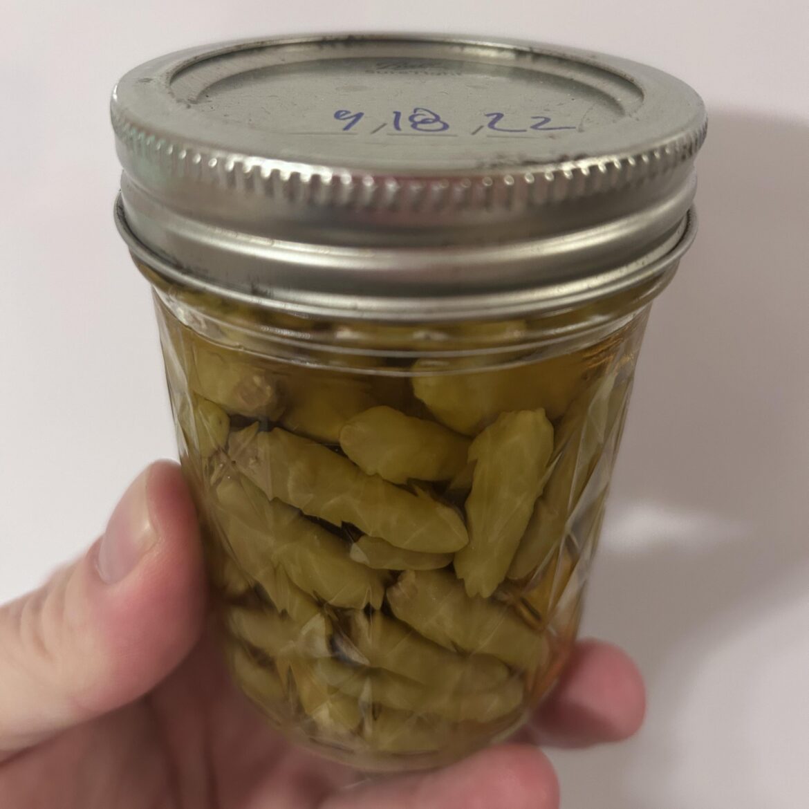 Home grown tabasco peppers in vinegar, just opened and tried and WOW is that hot! Eat your heart out, Texas Pete.