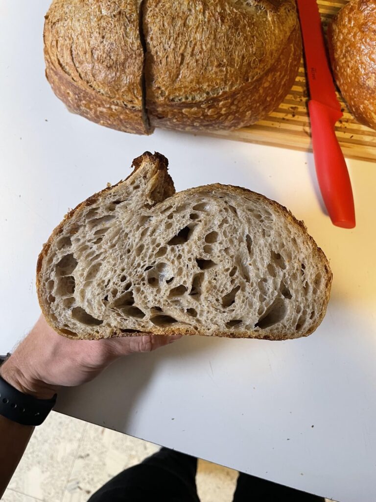 Ran a bulk fermentation experiment this weekend. Happiest with the results of an 8 hour bulk+24 hour cold proof