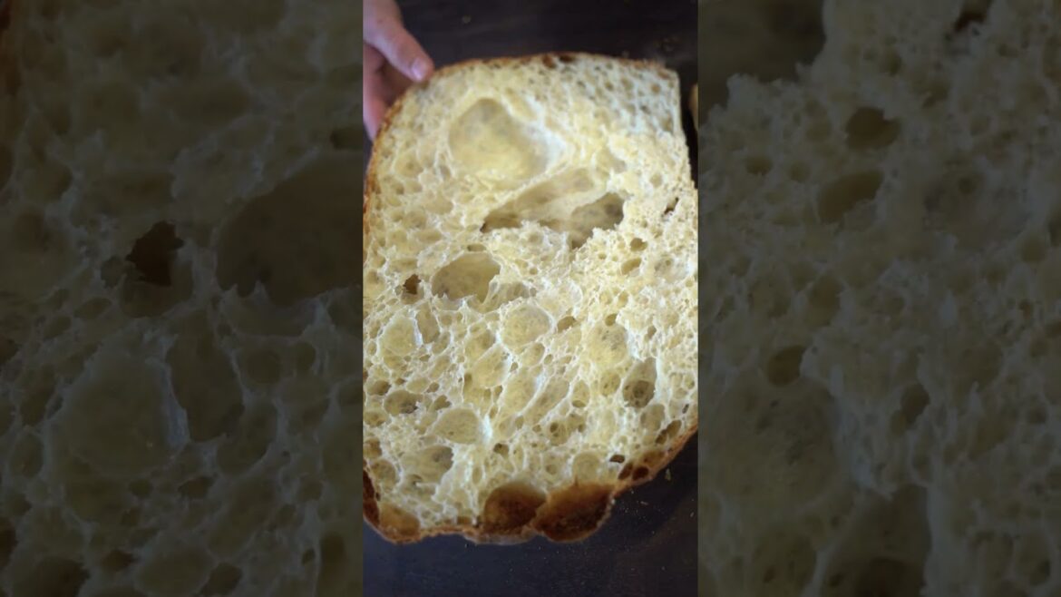 100% Hydration Ciabatta Recipe 100% Hydration Ciabatta Recipe