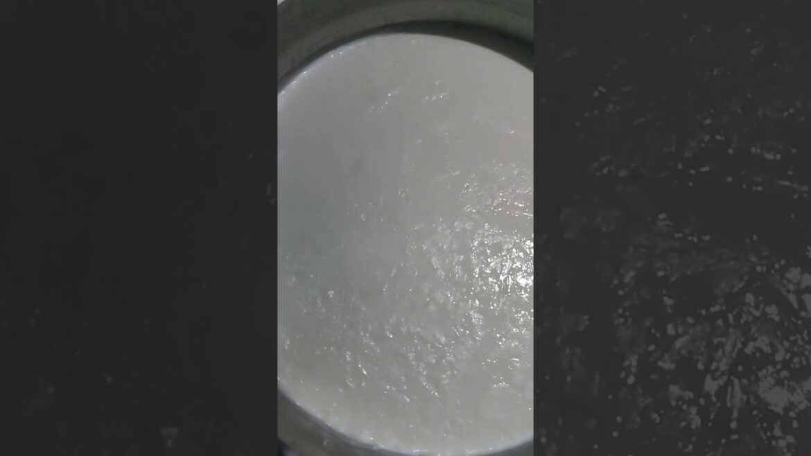 Learn how to prepare yogurt the authentic Arab way in a few simple steps Learn how to prepare yogurt the authentic Arab way in a few simple steps