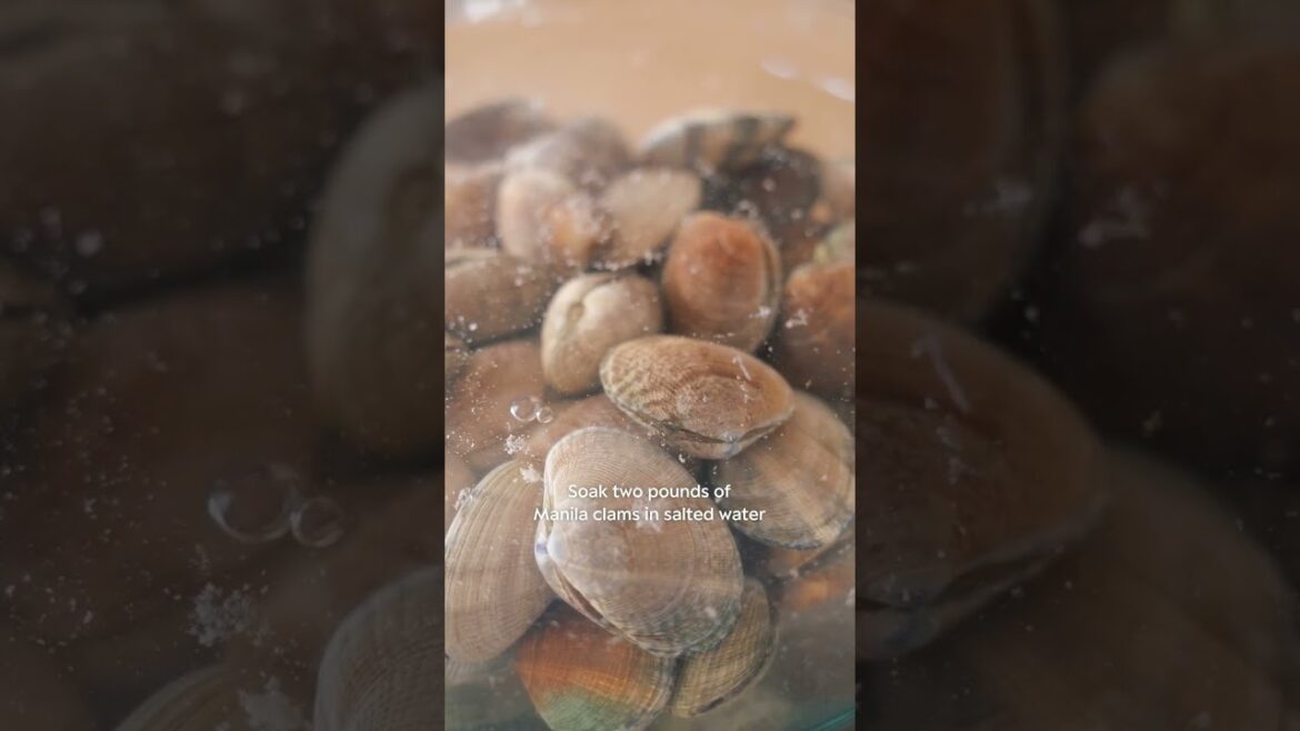 Get a Taste of #Taiwan with this #Recipe of #Sustainable Farmed #Clams Get a Taste of #Taiwan with this #Recipe of #Sustainable Farmed #Clams