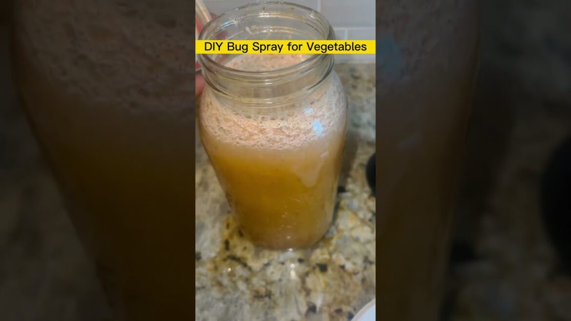 DIY Homemade Insect Spray for Vegetable Garden! #chemicals Free! #diy #insects #garden #greens