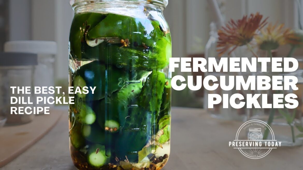 Dill Pickle Recipe | How I make fermented cucumber pickles