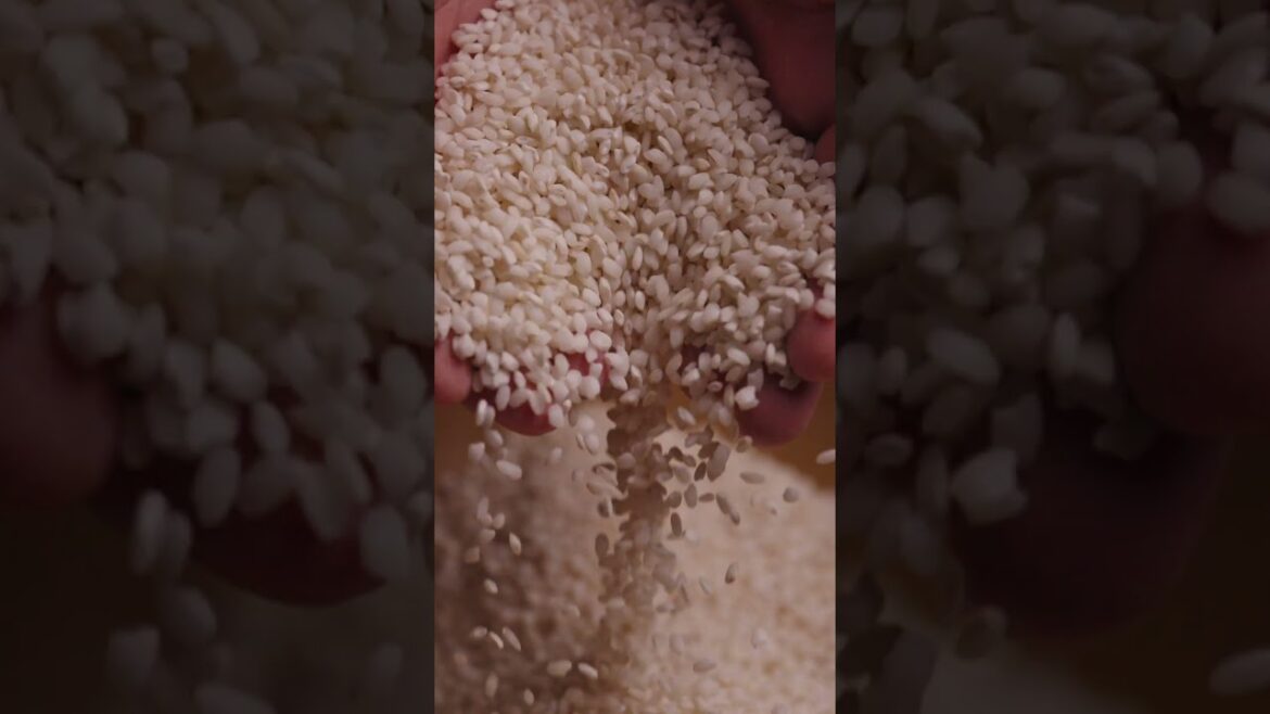 Purple cabbage risotto with speck and lemon. #risotto