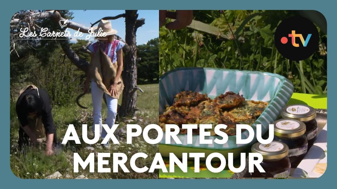 Paysans d’aujourd’hui aux Portes du Mercantour – Les Carnets de Julie Paysans d'aujourd'hui aux Portes du Mercantour - Les Carnets de Julie