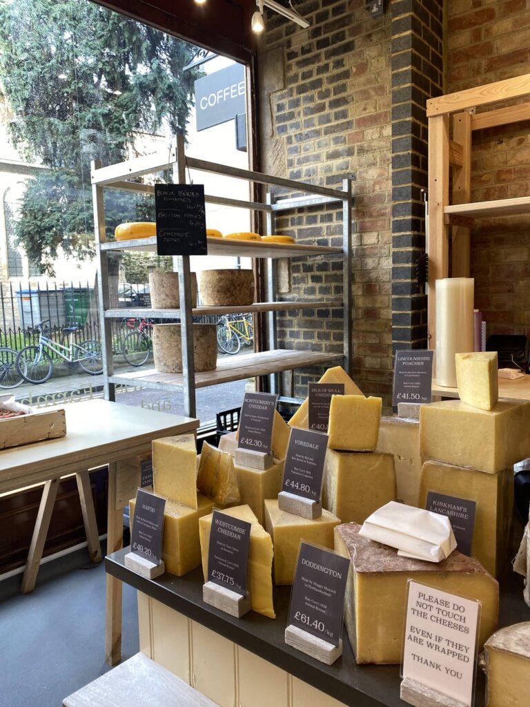 Am I late to the party? I’m today’s old, in exploring the world of cheese 🪤🐭