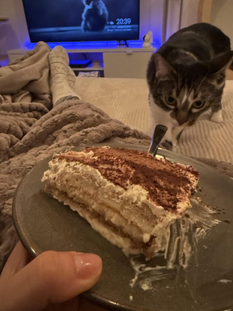 Calorie estimating (Cheat Meal)