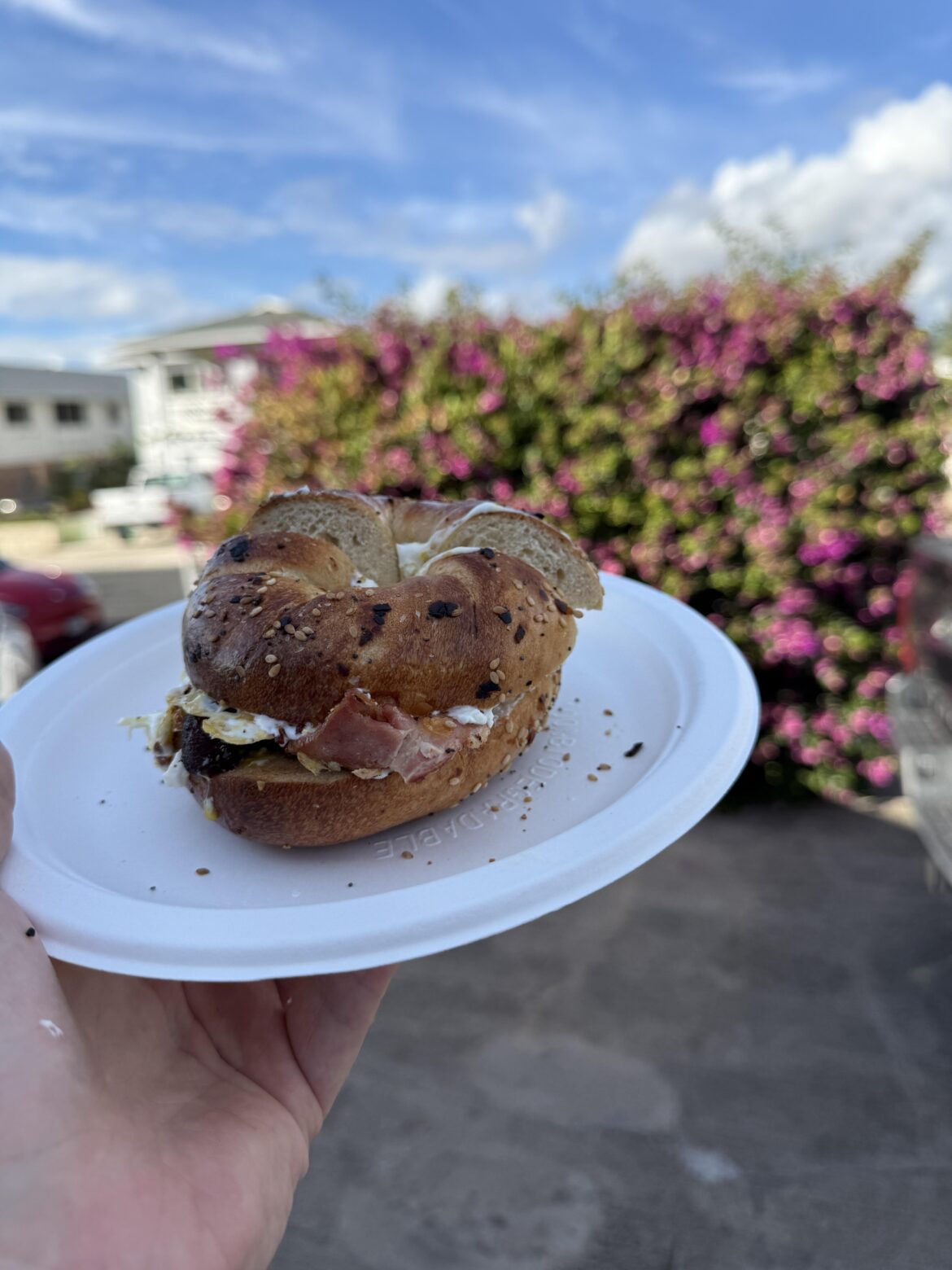 NY Bagel sandwich in Hawaii NY Bagel sandwich in Hawaii