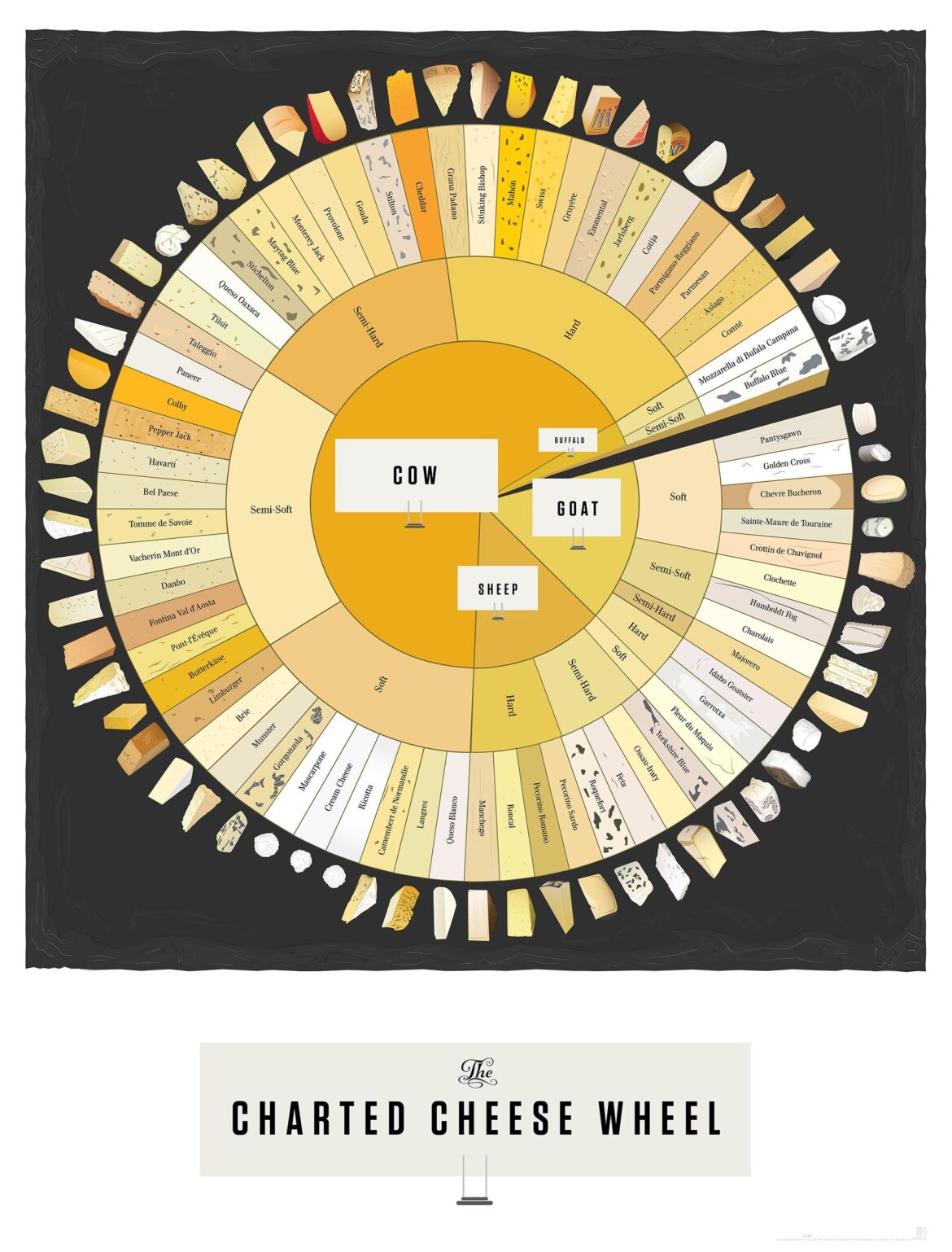 Charted cheese wheel