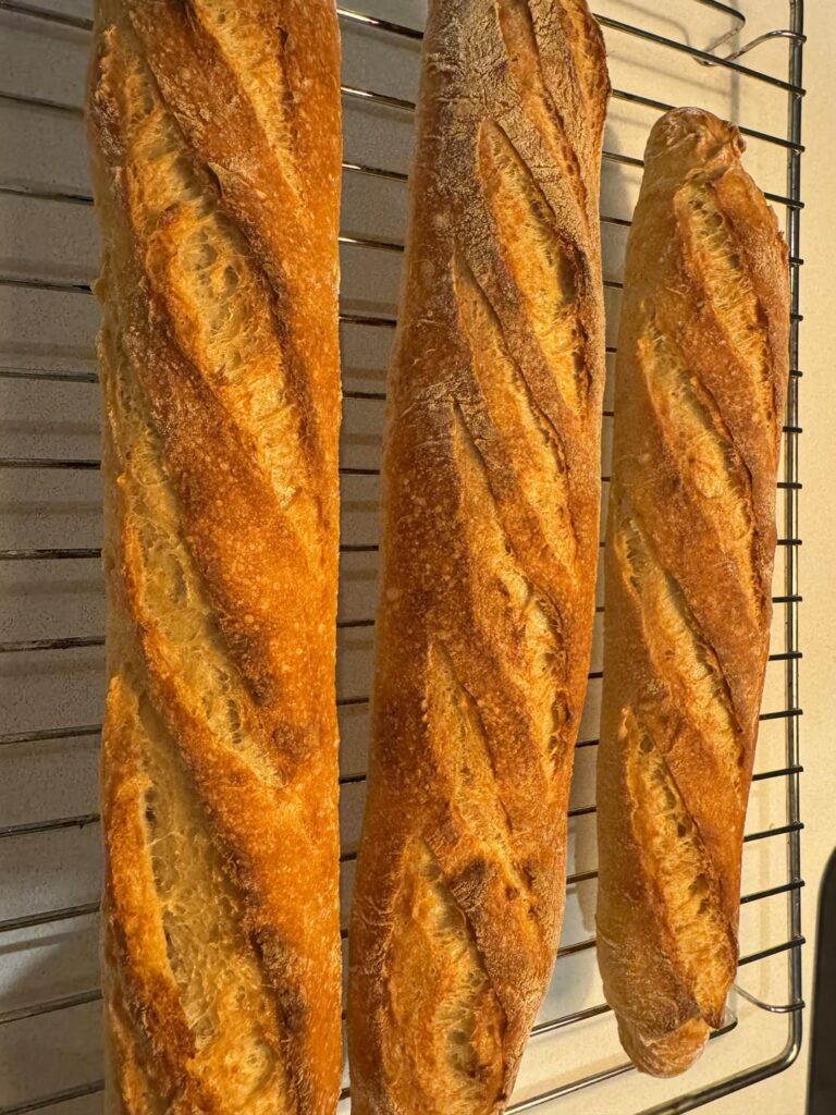 My first sourdough baguette