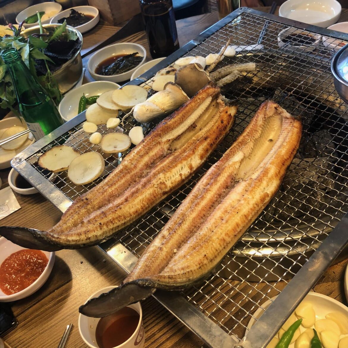 grilled eel is good for your body