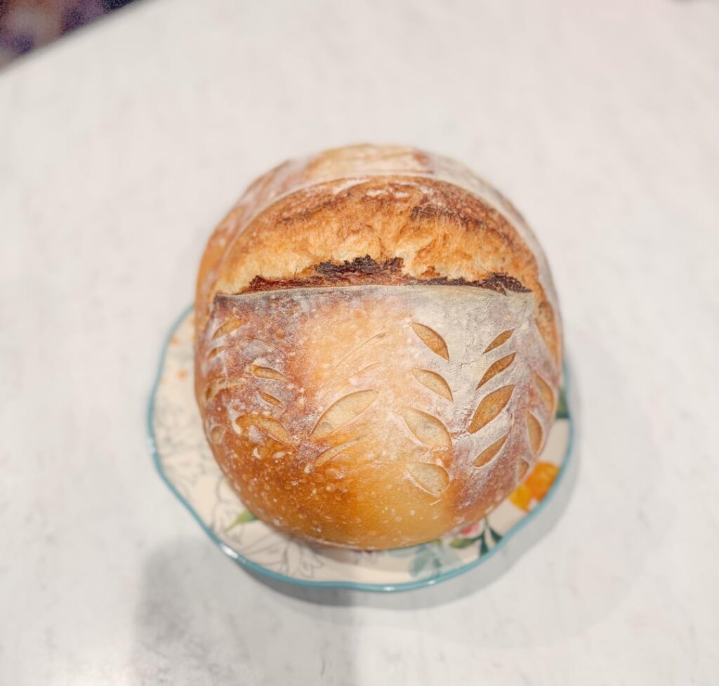 Rate my crumb- very first loaf