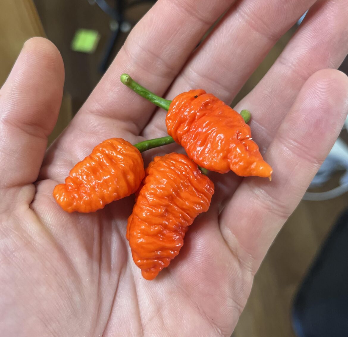 So afraid to touch my eyes atm…. So afraid to touch my eyes atm….