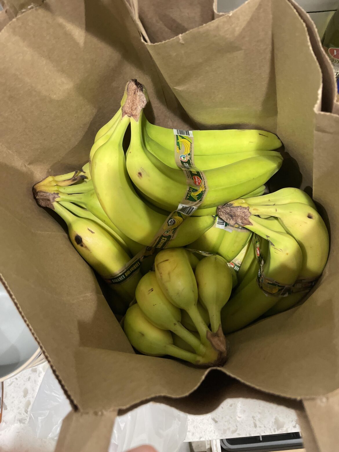 I meant to order 6 bananas and got 6 bunches. What am I supposed to do with 36 bananas?